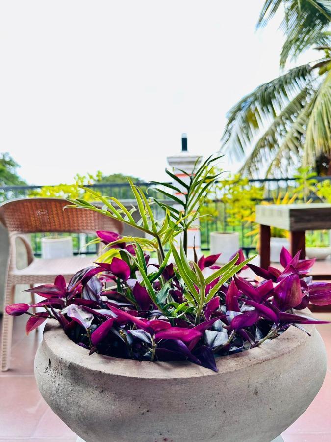 Otha Shy Airport Transit Hotel Katunayake Exterior photo